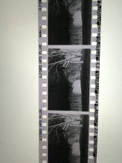 2016-02-22 22.56.40a.jpg