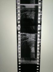 2016-02-22 22.57.08a.jpg