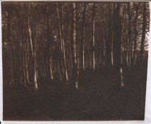 20160303-1.jpg