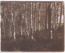 20160303-2.jpg