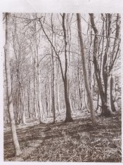 20160307-1.jpg