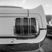 stang.jpg