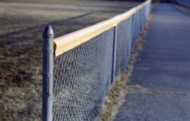 img375.jpg