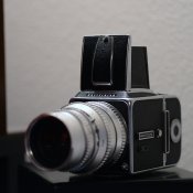 Hassy800x800.jpg
