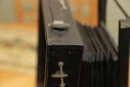 IMG_2298.jpg