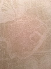 Closeup.jpg