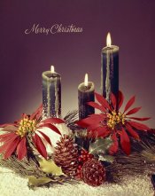 Interneg Merry Christmas.jpg