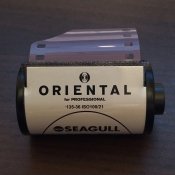 Seagull Oriental_b.jpg
