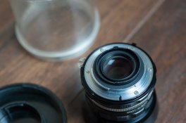 DSC_2994_WebSize.jpg