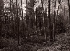 6x45-2016-03-31A-42.jpg