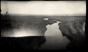 2016-06-18A-2b.jpg