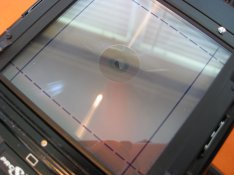 IMG_0484.JPG