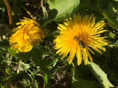 IMG_1144.jpg IMG_1144.jpg