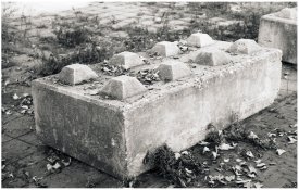 Nikon-S2-Foma100-20a-WEB.jpg