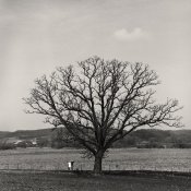 1603XX-02edit.jpg