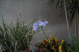 IMG_6062_IJFR_800.jpg