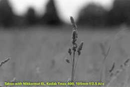 20160608, Nikon EL, 001-2.jpg