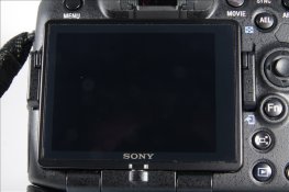 IMG_6286_IJFR_800.jpg