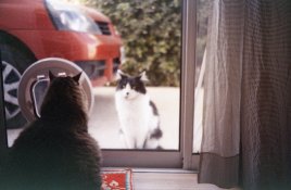 img044w.jpg
