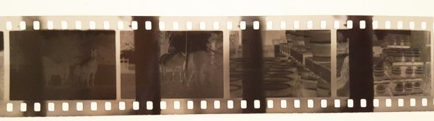 20160626_220825.jpg
