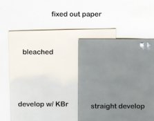 Fogged-Insignia (2).jpg