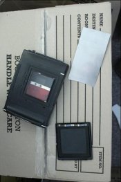 hass_polaroid_4.jpg