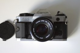ae1p_2.jpg