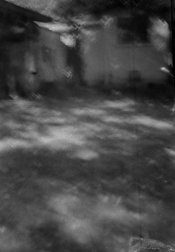 Film - 850 - 600.jpg