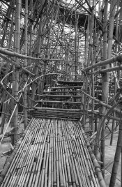 Big Bambu May 2010103.jpg