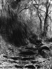 Path.jpeg