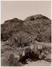 Red-Rock-N.P.jpg