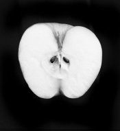 img299_split-apple1.jpg
