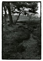 xtol1+1-02_ff_ff.jpg