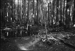 Fujica65mmGood005.jpg