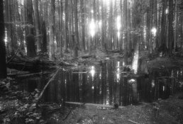 Fujica65Iffy003.jpg