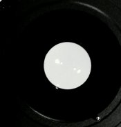 IMAG7341-1-1.jpg