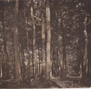 20160910-Namias-negposneg-002-1.jpg