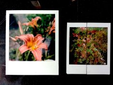 Instax Square.jpg