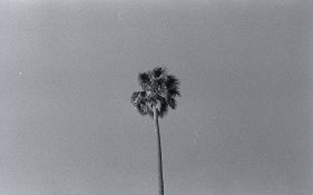 Screen Shot 2016-09-27 at 10.33.jpeg