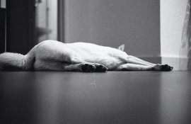 Screen Shot 2016-09-27 at 10.32.jpeg