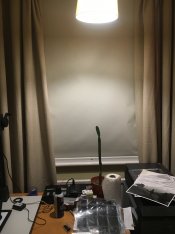 IMG_1137.jpg