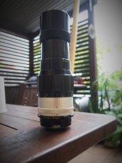 200mm lens.JPG