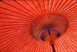 IMG_0178.JPG