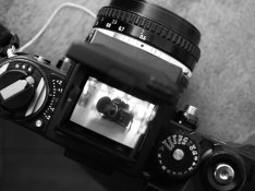 Nikon f3 looking to f2 (2).JPG