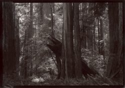 Prairie Creek, Nude1.jpg