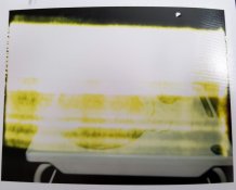 pola.JPG pola.JPG