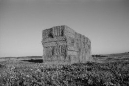 OM2n- TMAX100 - OCT2016-019.jpg