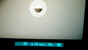 IMAG7638-1-1.jpg