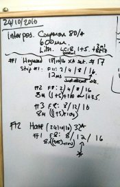 _20161024_174418.JPG