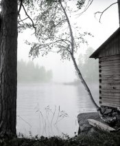 Savusaunaidylli.jpg Savusaunaidylli.jpg